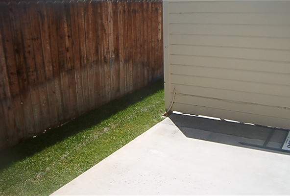 Our Back Yard